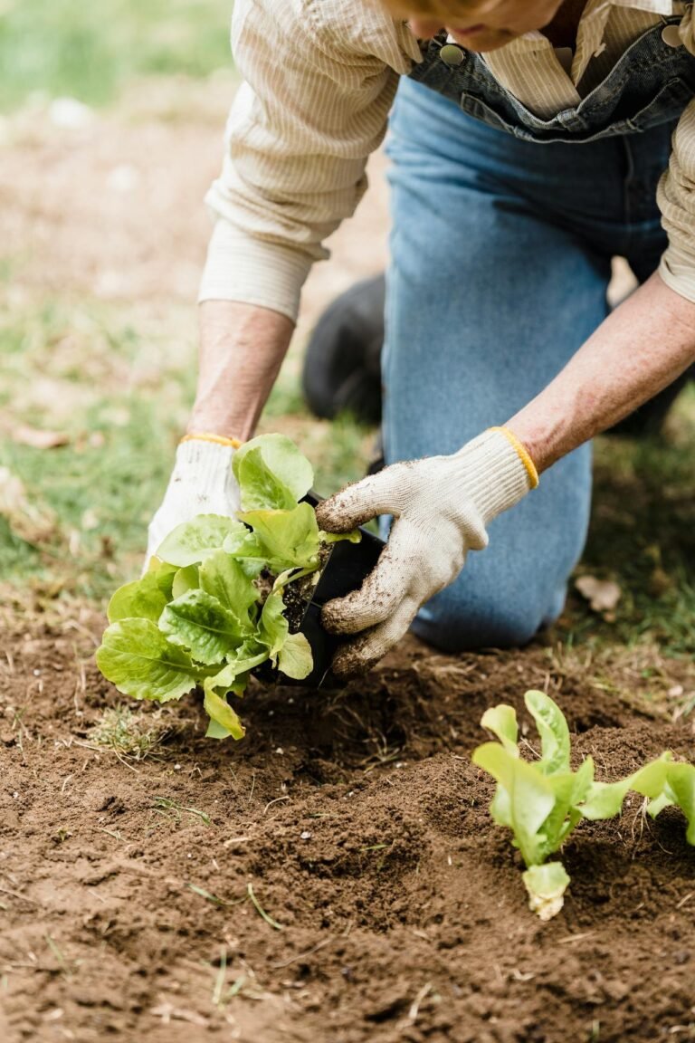 How to Prevent Environmental Harm from Cutting Plants