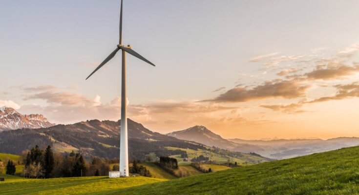 Environment First: A Call to Prioritize Our Planet