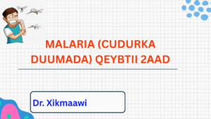MALARIA DISEASE (CUDURKA DUUMADA) QEYBTII 2AAD