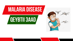 MALARIA DISEASE (CUDURKA DUUMADA) QEYBTII 3AAD