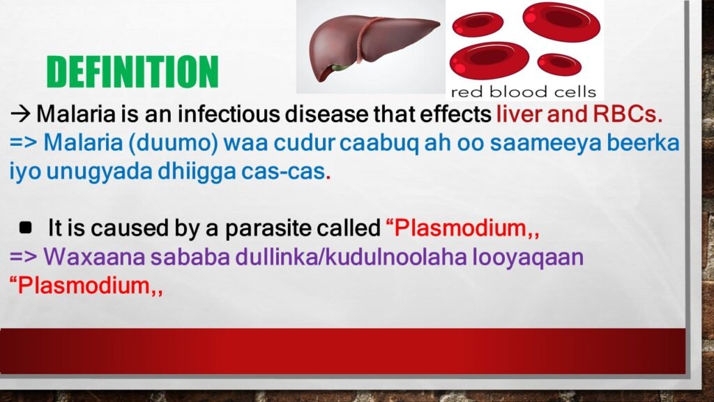 MALARIA DISEASE (CUDURKA DUUMADA) QEYBTII 1AAD 2 Slide2 4
