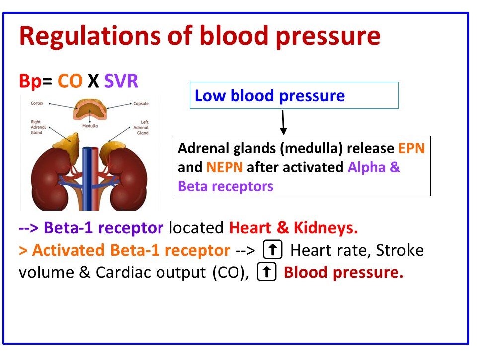 HYPERTENSION (DHIIGKAR) QEYBTII 4AAD 4 Slide4 2