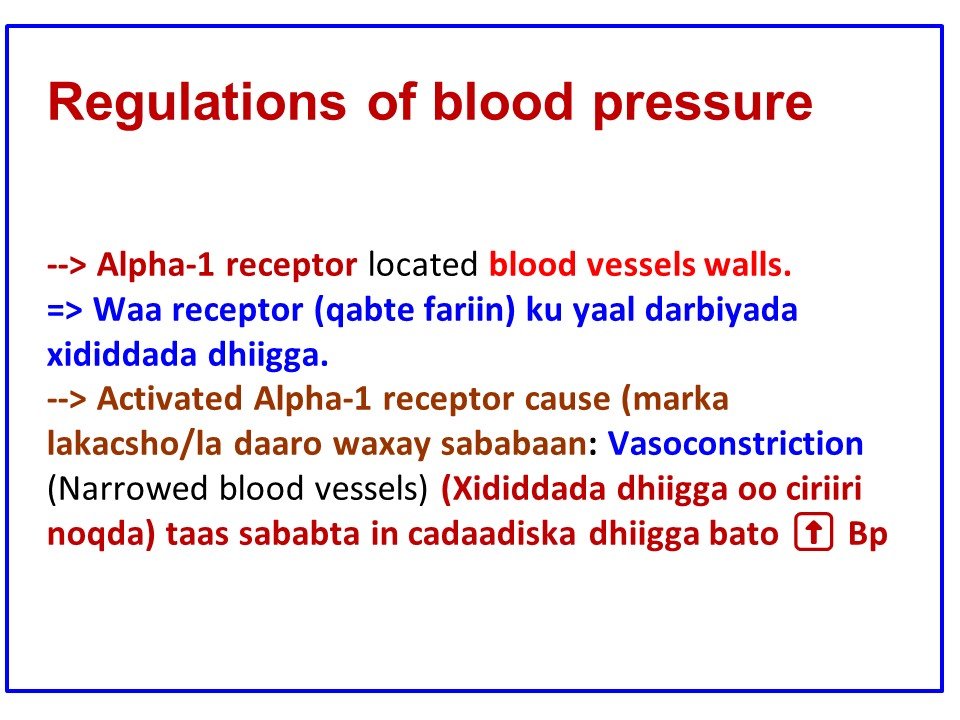 HYPERTENSION (DHIIGKAR) QEYBTII 4AAD 5 Slide5 2