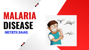 MALARIA DISEASE (CUDURKA DUUMADA) QEYBTII 9AAD UDAMBEESAY