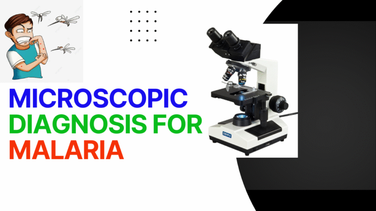 MALARIA DISEASE (CUDURKA DUUMADA) QEYBTII 6AAD