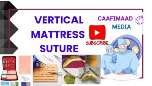 WhatsApp Image 2025 10 15 at 21.53.16 a8a91b13